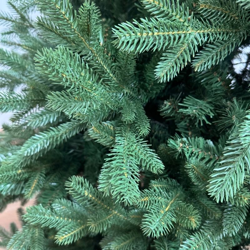 Iaia Home Gabriel Dettagli Chioma