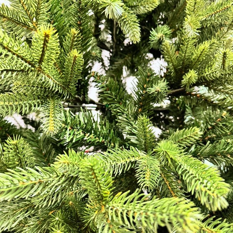 Iaia Home Gabriel Dettaglio Chioma