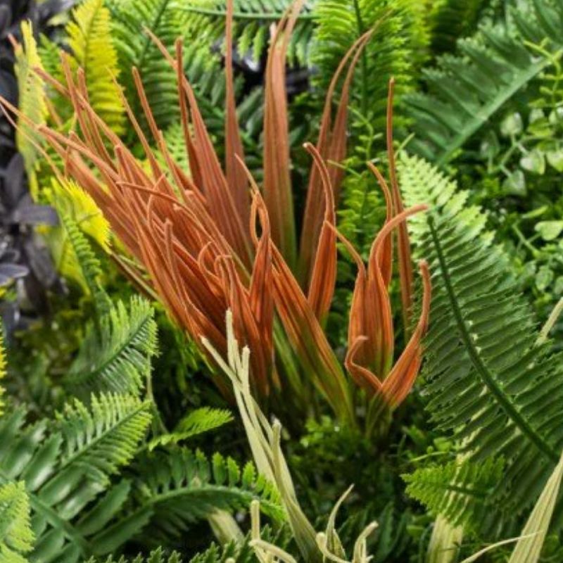 Siepe Artificiale 3D 100x100 cm Kenya