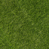 Prato ed Erba Sintetica