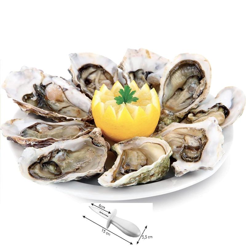 Tescoma Stainless Steel Oyster Opener Knife