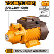 Elettropompa Periferica INGCO 750W 1 HP - Portata 50Lmin - VPM75068
