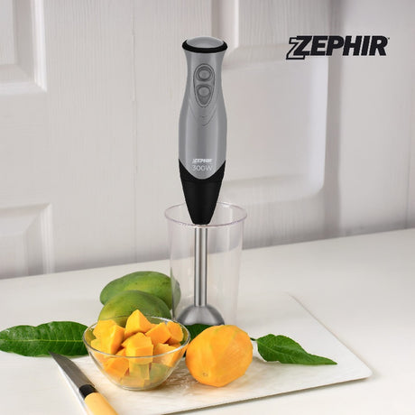 Frullatore ad immersione ZEPHIR ZHC84