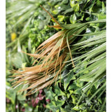 Siepe Artificiale 3D Amazzonia 100x100 cm