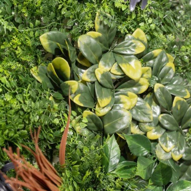 Siepe Artificiale 3D 100x100 cm Kenya