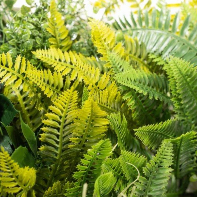 Siepe Artificiale 3D 100x100 cm Kenya