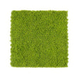 Siepe Artificiale 3D Muschio 50x50 cm