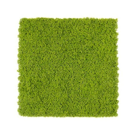 Siepe Artificiale 3D Muschio 50x50 cm