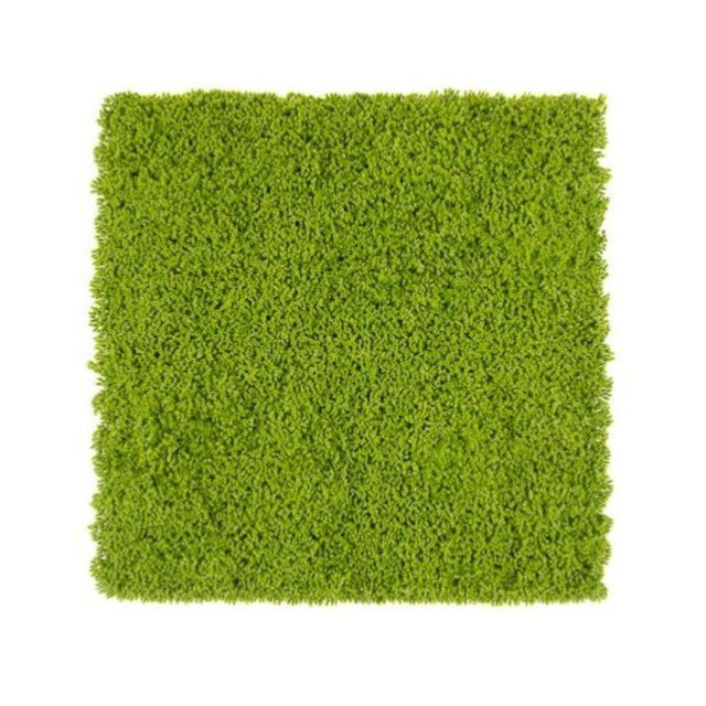 Siepe Artificiale 3D Muschio 50x50 cm