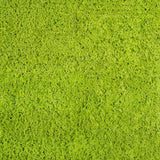 Siepe Artificiale 3D Muschio 50x50 cm