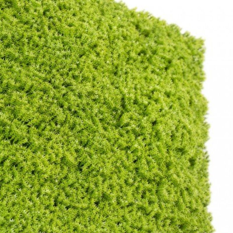 Siepe Artificiale 3D Muschio 50x50 cm